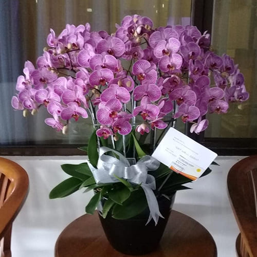 Bunga Meja Ben Arum Florist (3)