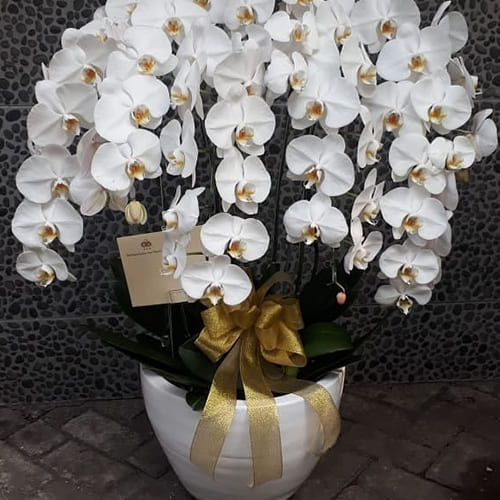 Bunga Meja Ben Arum Florist (4)