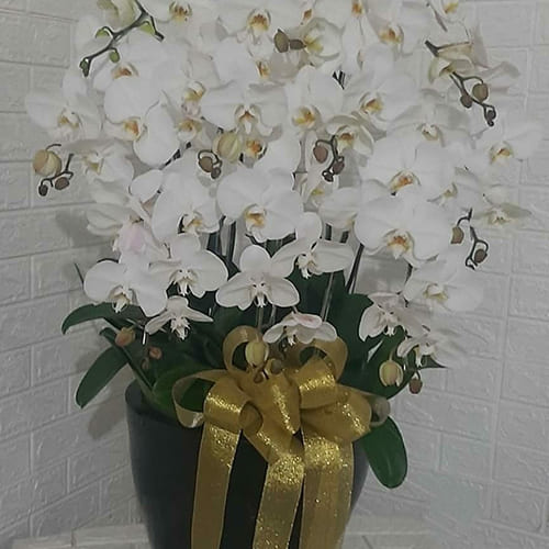 Bunga Meja Ben Arum Florist (9)